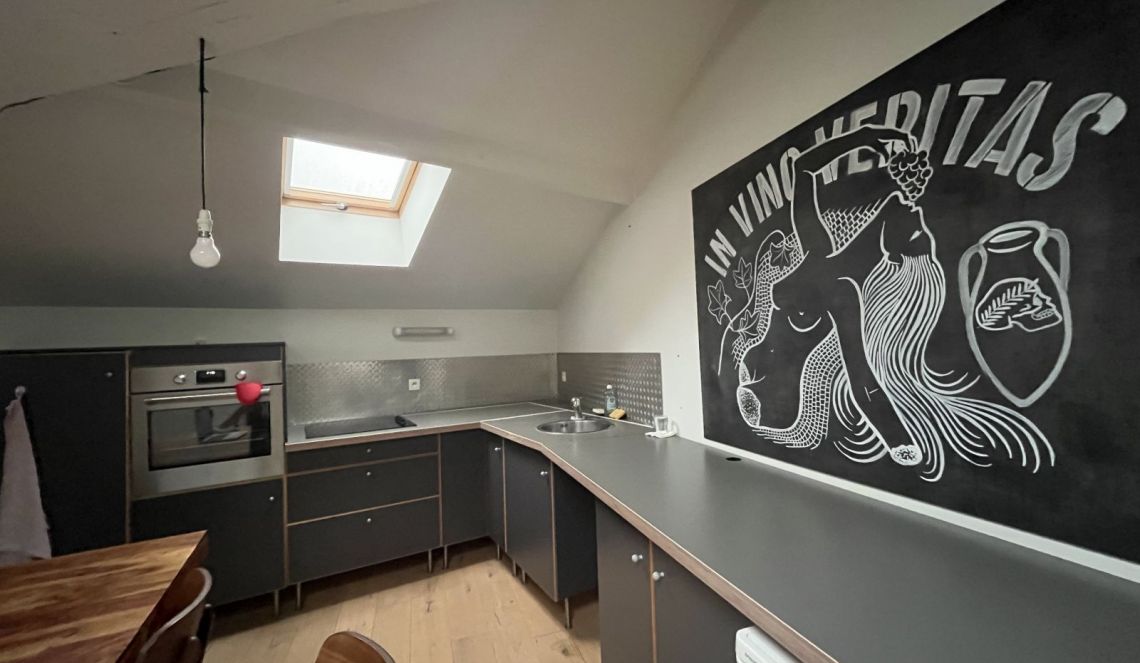 location d'un appartement avec cuisine ouverte